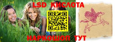 a pvp Славгород
