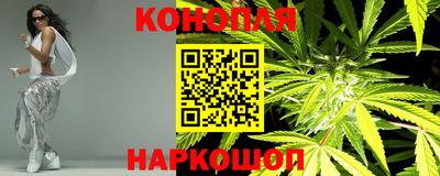 a pvp Славгород