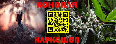 a pvp Славгород