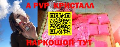 a pvp Славгород